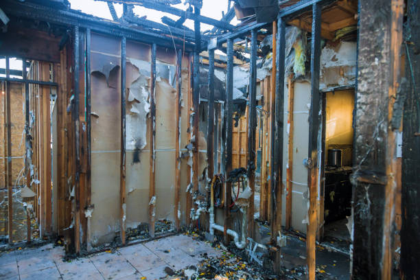 Professional Odor Removal technician working in Shafer, MN