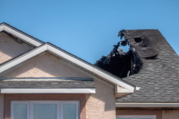 Top rated local Odor Removal specialists in Shafer, MN